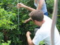 Liz and Matt Palmer (Columbia E3B faculty) measuring understory plant height for cormorant impact study on Hoffman Island.